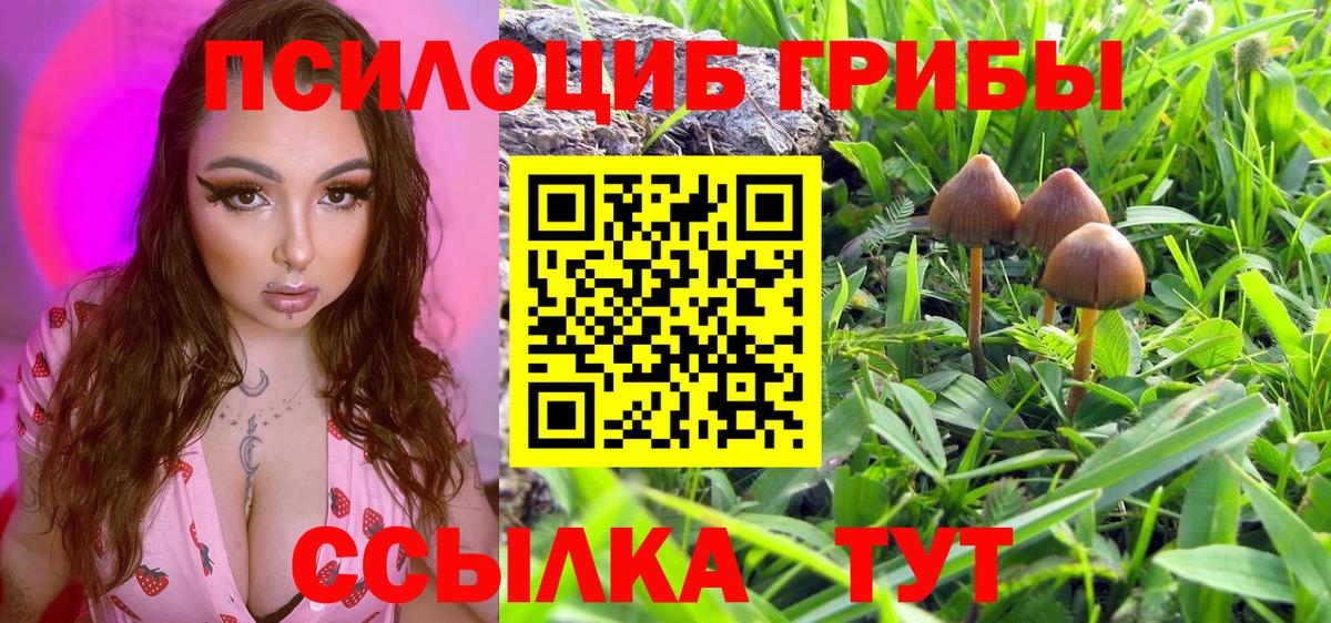Урай  Галлюциногенные грибы GOLDEN TEACHER  где можно купить наркотик  Вход с VPN 